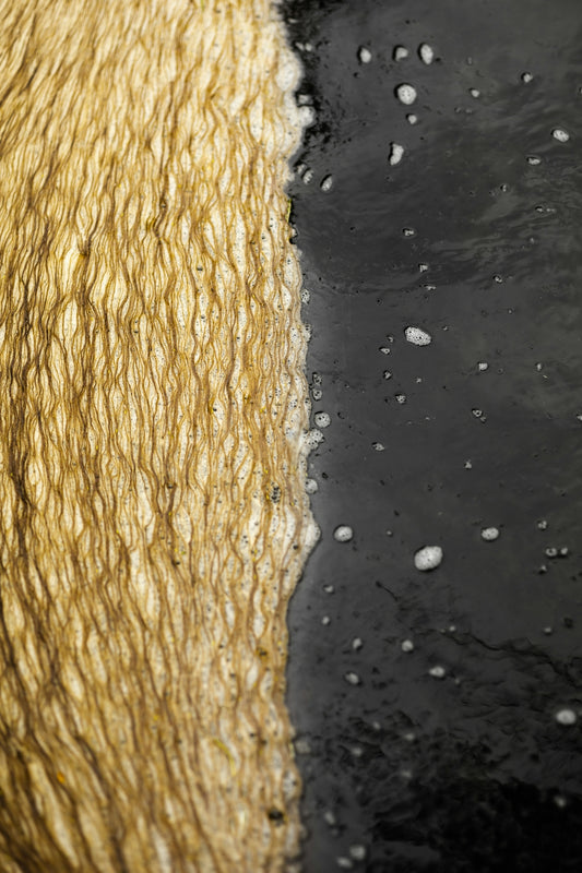 a close up of a black and white area with water